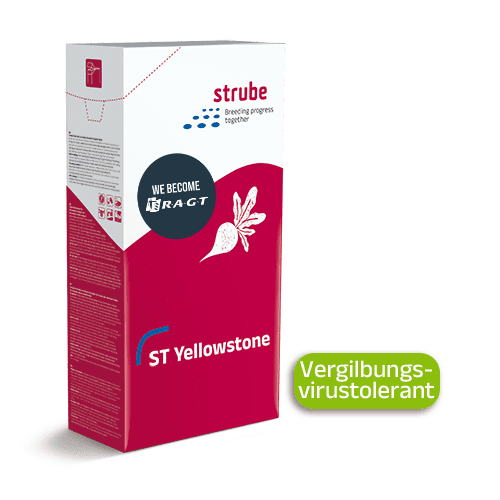 Зображення oрфео ШТ